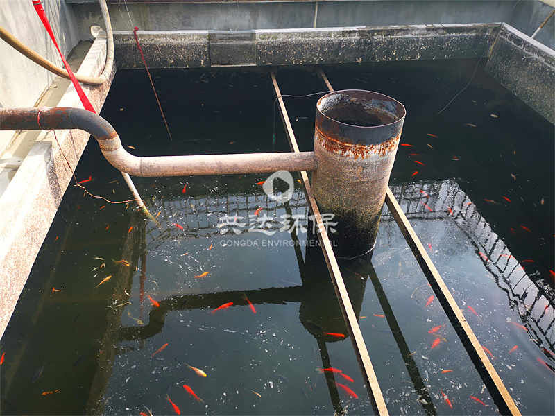 屠宰废水治理